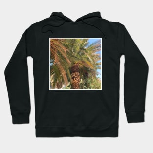 Pretty picture of a Palm Tree. Pretty Palm Trees Photography design with blue sky Hoodie